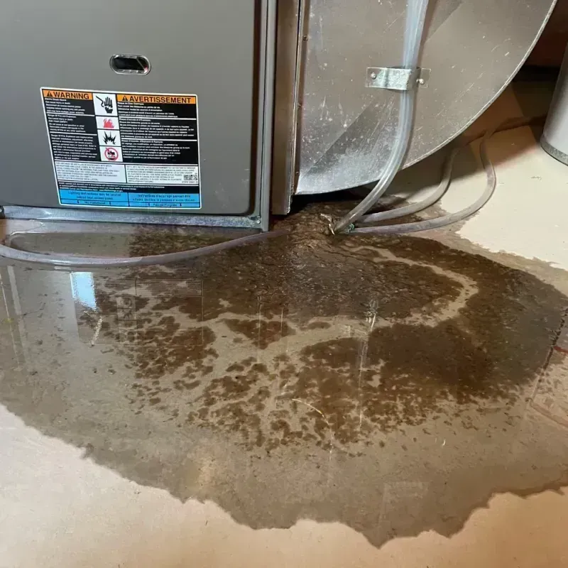 Appliance Leak Cleanup in Toulon, IL